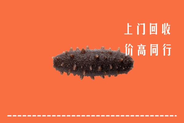 高价求购：南皮县回收海参