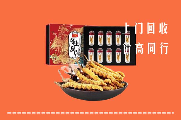 南皮县回收虫草